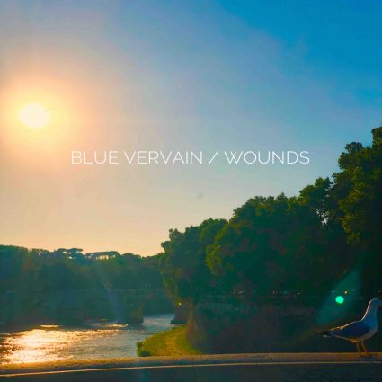 Blue Vervain					

